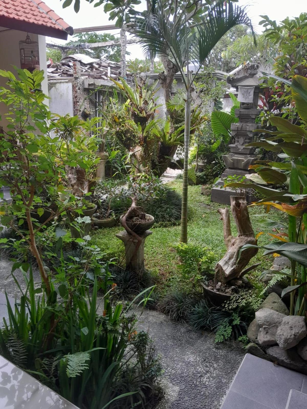 Soka Homestay Ubud  Luaran gambar
