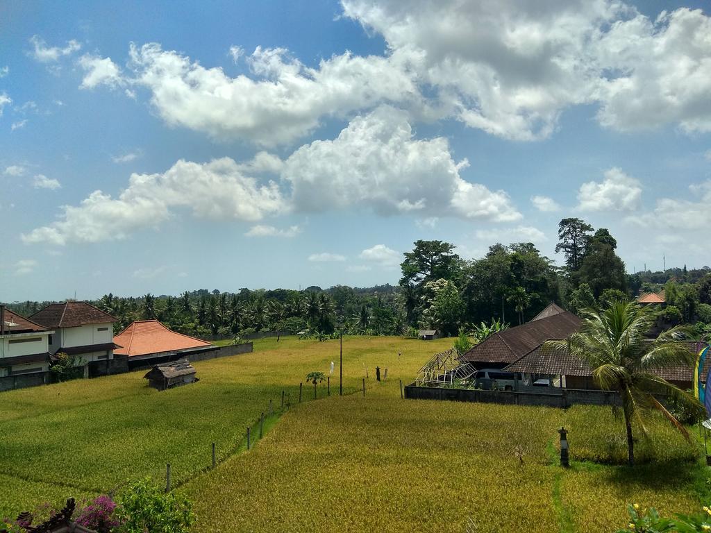 Soka Homestay Ubud  Luaran gambar